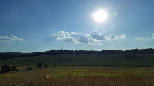Scenic view of grassy field against sky