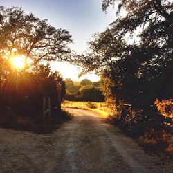 Road passing through forest at sunset