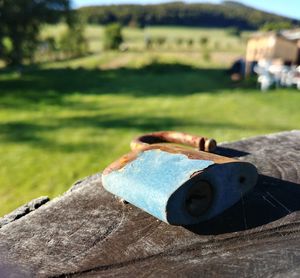 Close-up of grass on field
