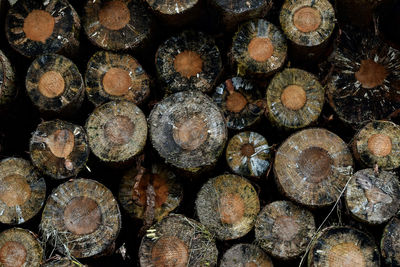 Full frame shot of firewood