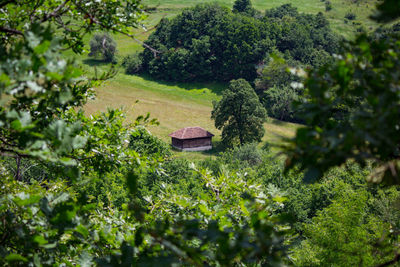 Small cottage on the field