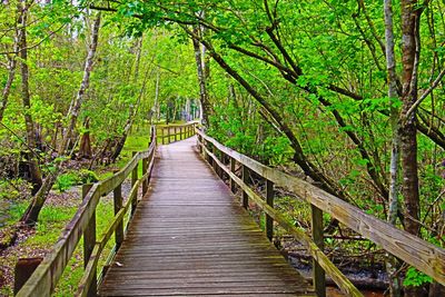 Wooden footbridge in lake