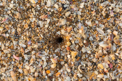High angle view of pebbles on beach
