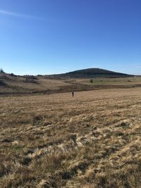 Scenic view of field against clear blue sky