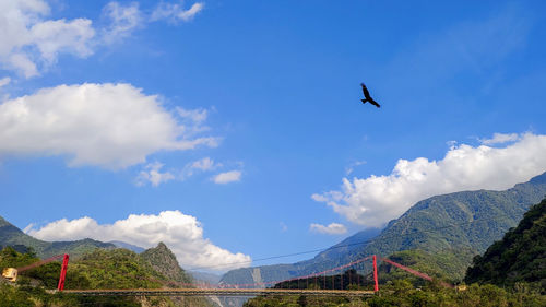 Low angle view of birds flying over mountain against sky