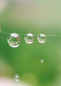 Close-up of water drops on grass