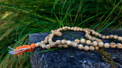 Close up of wooden buddhist prayer beads on stone with green grass outdoor.