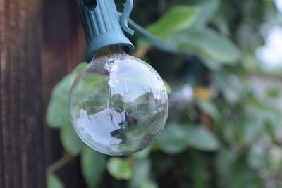 Close-up of bubbles against blurred background