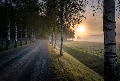 Road amidst trees against sky during sunset