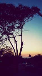 Silhouette trees at sunset