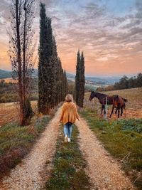 Rear view of walking on pathway by horse on grass against sky