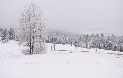 Scenic view of field against sky during winter