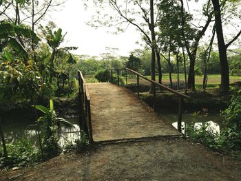 Footpath in park