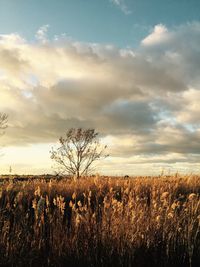 Scenic view of field against cloudy sky