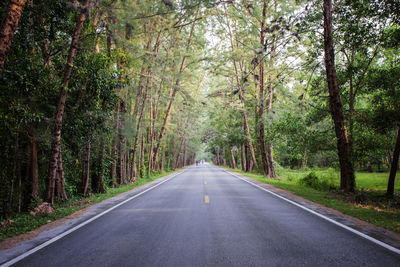 Road amidst trees in forest