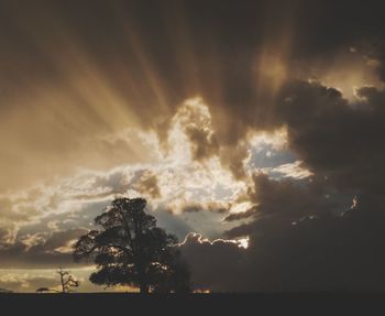 Silhouette trees against dramatic sky during sunset