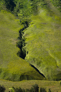 High angle view of green landscape