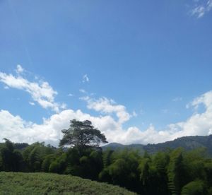 Scenic view of landscape against cloudy sky