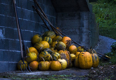Pumpkins in container against wall