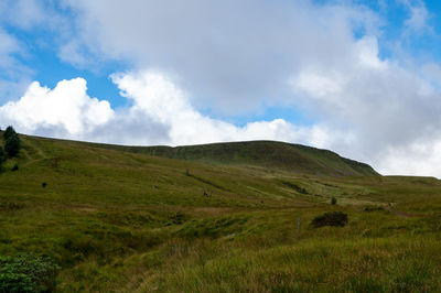 Scenic view of landscape against sky