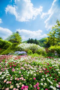 Scenic view of landscape against cloudy sky