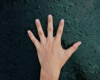 High angle view of hand touching wall