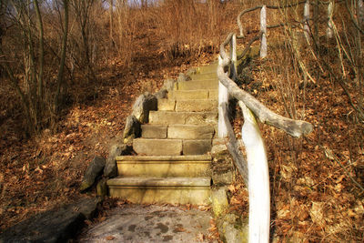 Steps on beach