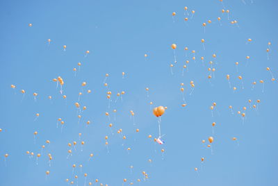 Low angle view of balloons flying against clear blue sky during sunny day