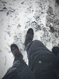 Low section of person on snowcapped mountain