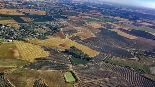 High angle view of agricultural field