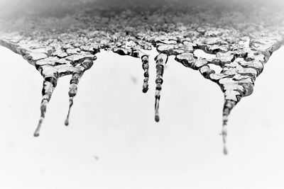 Close-up of frozen water