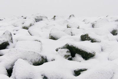 Snow covered field against sky