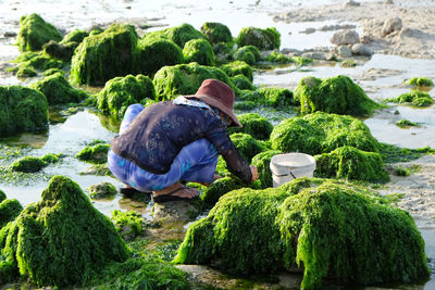 Rear view of senior woman working on mossy rocks at beach