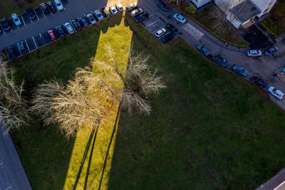 High angle view of yellow car on road