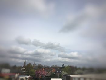 Trees against sky in city