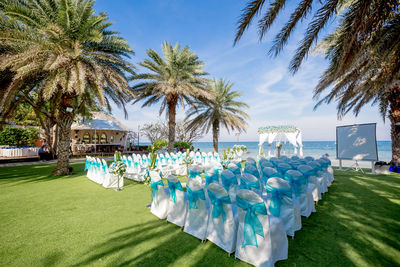 Palm trees against blue sky