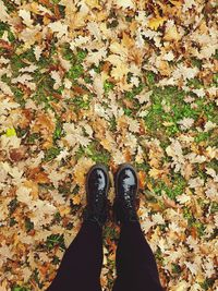 Low section of person standing on autumn leaves