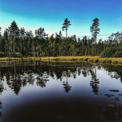 Reflection of trees in lake against blue sky