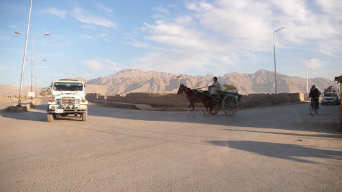 Horse cart on the road