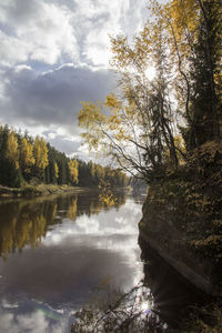 Scenic view of river amidst trees against sky