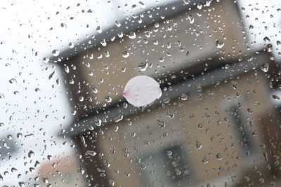 Full frame shot of raindrops on glass window