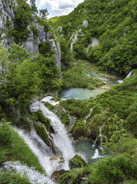 Scenic view of waterfall in forest