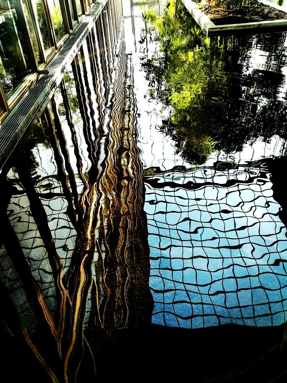 CLOSE-UP OF SILHOUETTE TREE BY WATER AGAINST SKY