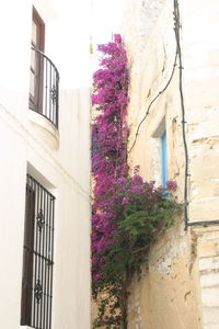 Low angle view of building