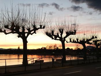 Silhouette bare tree by river against sky during sunset