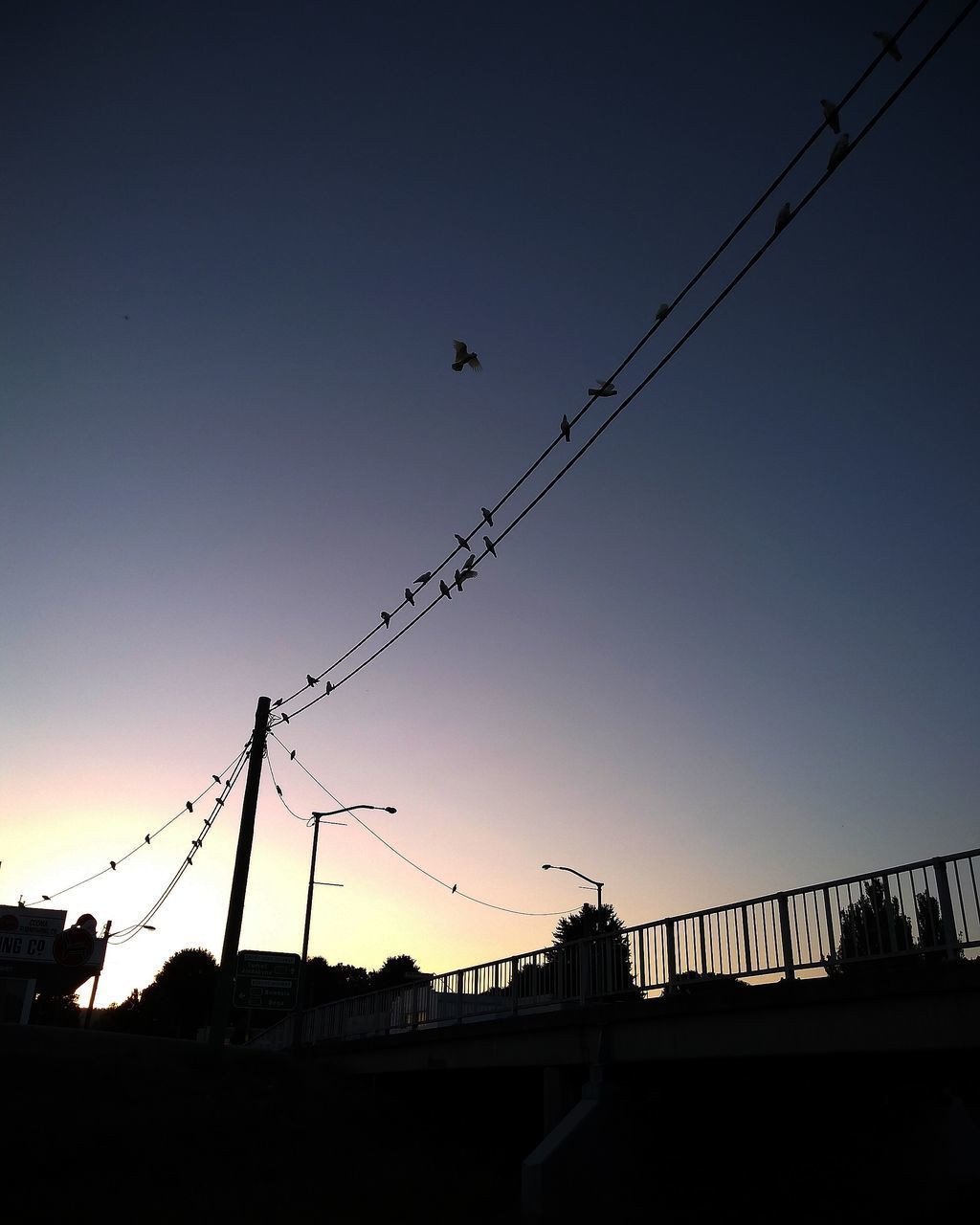 LOW ANGLE VIEW OF SILHOUETTE BIRDS ON BRIDGE