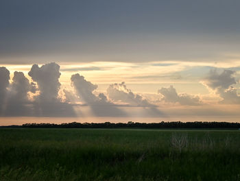 Scenic view of field against sky during sunset