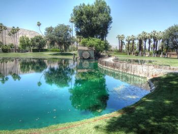 Reflection of trees in swimming pool against sky