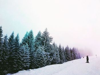 Trees on snow covered landscape against clear sky