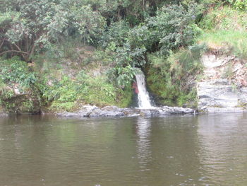 Scenic view of waterfall against trees